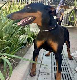 Photo of MOLLY