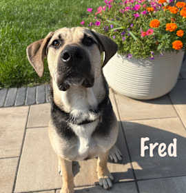Photo of Fred
