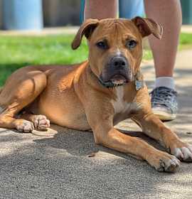 Timmy Toofers photo 1