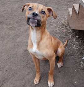 Timmy Toofers photo 2