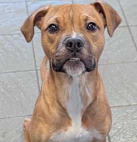 Timmy Toofers photo 3