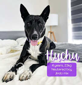 Photo of Huchu