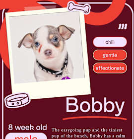 Photo of Bobby