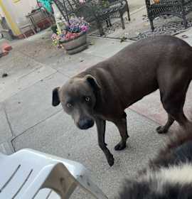 Photo of Athena