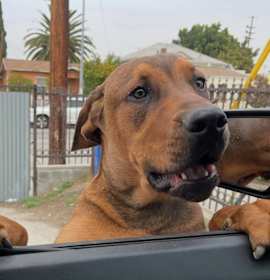 Photo of Max