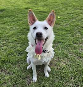 Photo of RIKKO