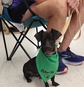 Nox (In Foster) photo 2