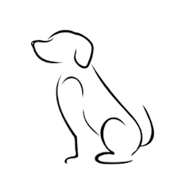 Photo of Polly