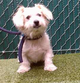 Photo of BAILEY