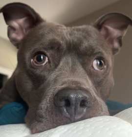 Bubbly Champagne photo 1