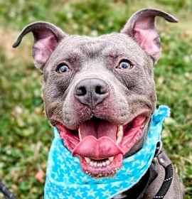 Bubbly Champagne photo 2