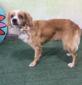 Photo of WASABI