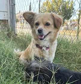 Photo of Carmela