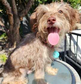 Photo of Ritz