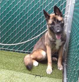 Photo of LUCY