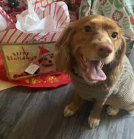 Photo of Duke