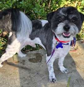 Photo of Sammie