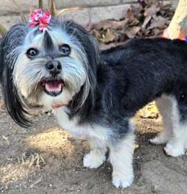 Photo of Betty