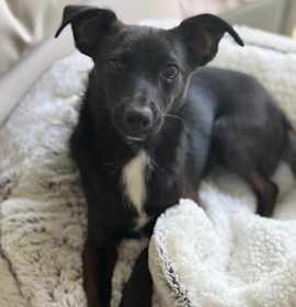 Photo of DAISY