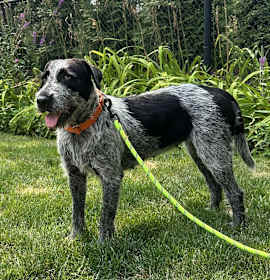 Photo of Calypso Henson