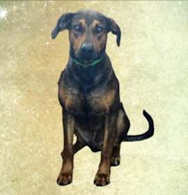 Photo of RODY
