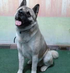 Photo of SUNKA