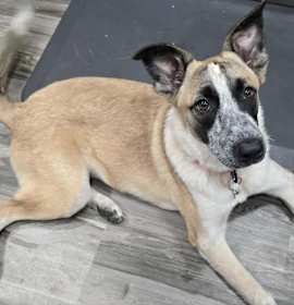 Photo of Gretel JuM/JA