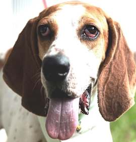 Photo of Liddy