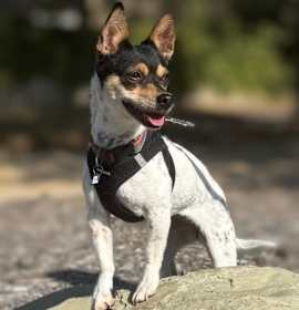 Photo of Peppaw