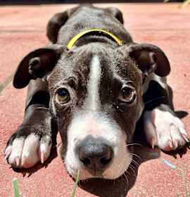 Photo of Baby girl