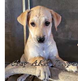 Photo of Cray: Hunger Games Group