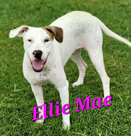 Photo of Ellie Mae