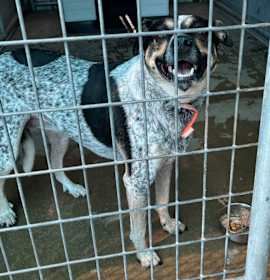 Phoebe Bridges photo 2