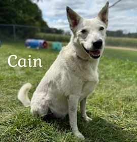 Photo of Cain