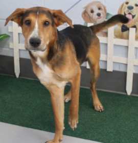 Photo of Issac URGENT GORGEOUS BOY‼️