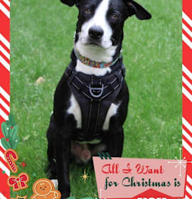 Photo of Elliot - I'll Be Home for Christmas Promo