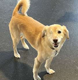 Photo of Baylee