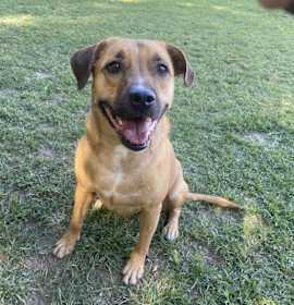 Photo of Maggie (TIANA)