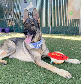 Photo of MILO