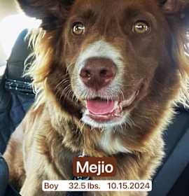 Photo of Mejio