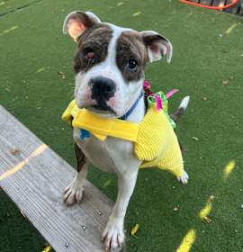 Meryl Streep photo 3