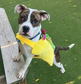 Meryl Streep photo 4