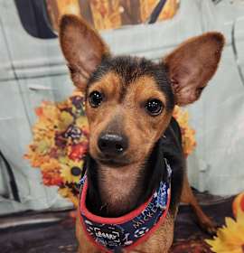 Photo of Donnie aka Fred JuM