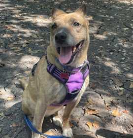 Luscia IN FOSTER photo 1