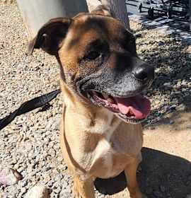 Photo of George OS NV 