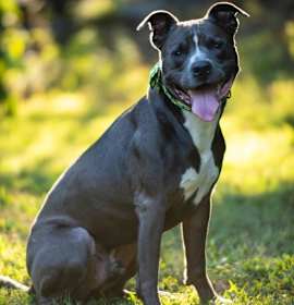 Max -- Courtesy post photo 2