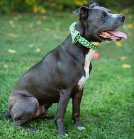 Max -- Courtesy post photo 3