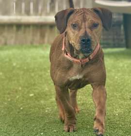 Trinity (Mall of NH) photo 1