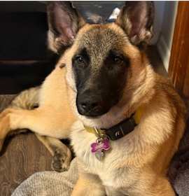 Photo of Amelia in OR