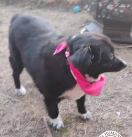 Photo of Maria & Spring